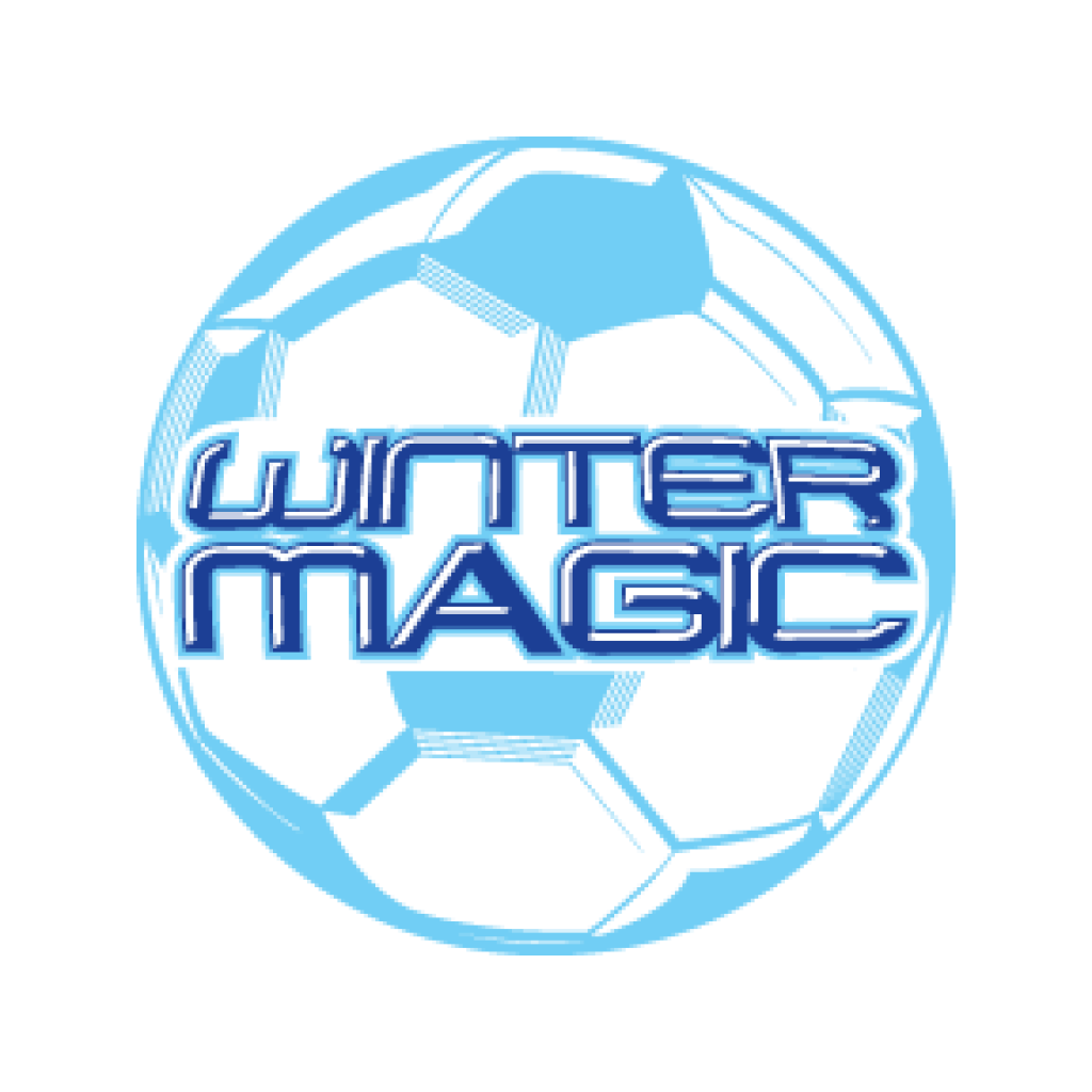 Winter Magic 2020 